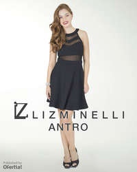 Vestidos de coctel liz minelli 2018